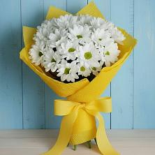 Букет цветов из:  Хризантемы в Богане