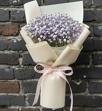 Букет цветов из:  Гипсофила #REPLACE_PRED# Богане