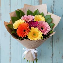 Букет цветов из:  Герберы в Богане