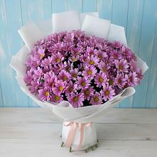 Букет цветов из:  Хризантемы #REPLACE_PRED# Богане