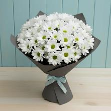 Букет цветов из:  Хризантемы в Богане