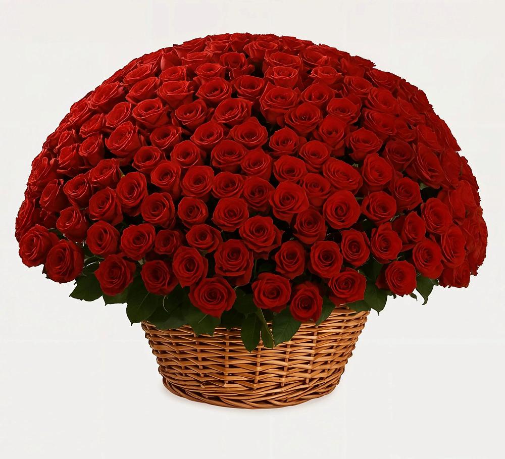 Премиум букет из: Розы в Богане