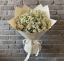 Букет цветов из:  Ромашки в Богане
