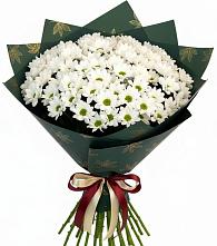 Букет цветов из:  Хризантемы #REPLACE_PRED# Богане