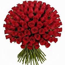 Букет Красные розы Чери Лав в Богане