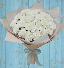 Букет цветов из:  Гвоздики в Богане