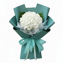 Букет цветов из:  Гортензия в Богане